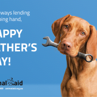 Father's Day Gift Donation