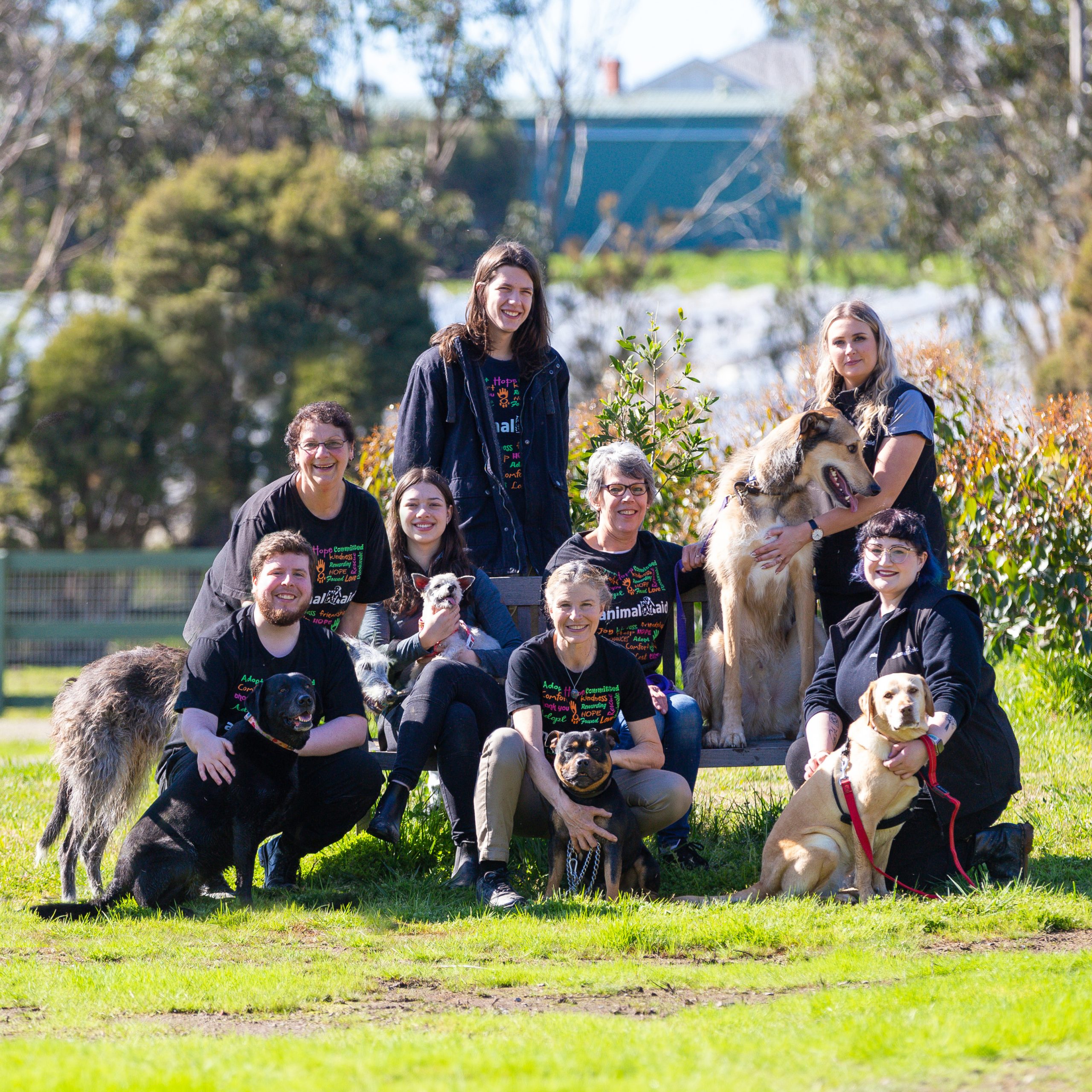 A dog saved by Animal Aid