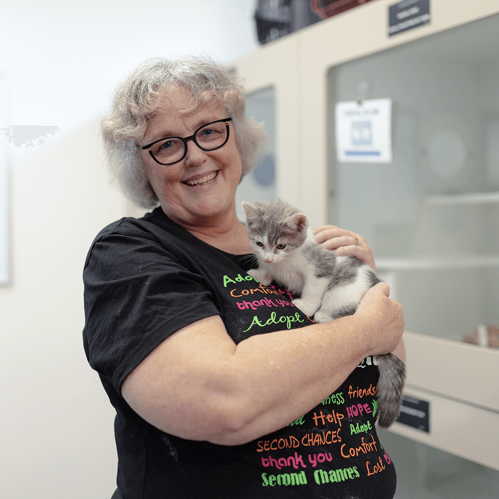 Student Volunteer at Animal Aid